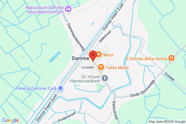 Wapen Van Damme ('t)