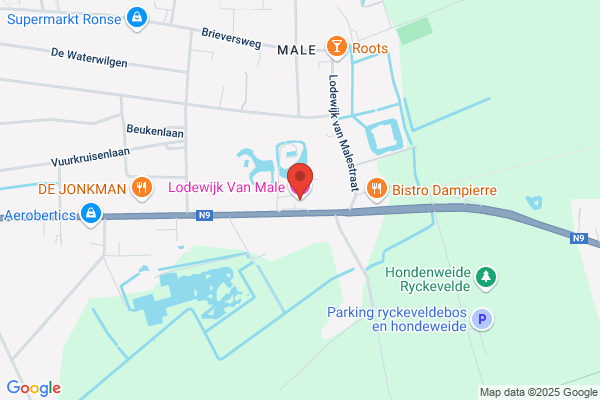 Lodewijk Van Male Salons