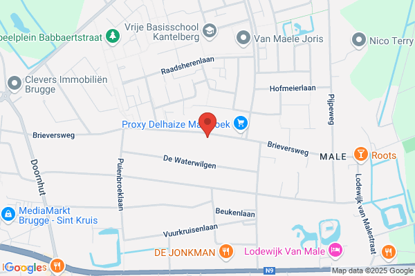 Verhamme N