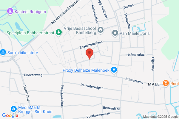 Van Loo J