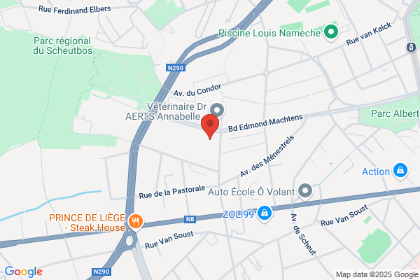 Alcan International Network Belgium Sa