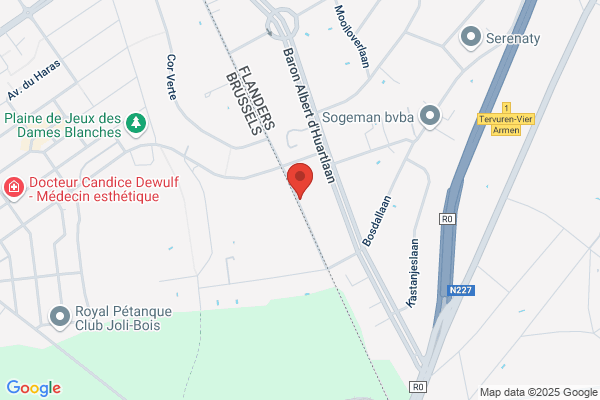 D'udekem D'acoz/Amaury