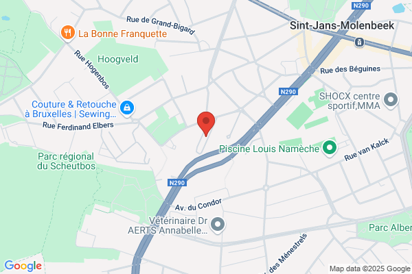 Pirenne & Co Accountants Bvba