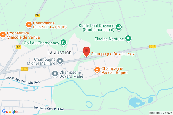 Duval Leroy International Champagne