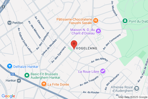 Chant D'oiseau (Du)