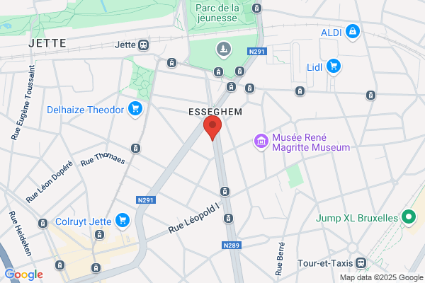 Brussels Corporate Investigation Services (Brucis)