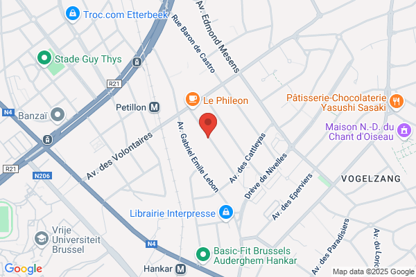 Citroen-Garage Des Palmiers