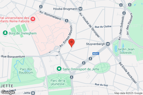 Image Computing Belgium Sa