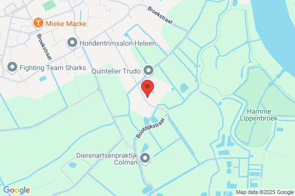 Van Der Heyden Sa