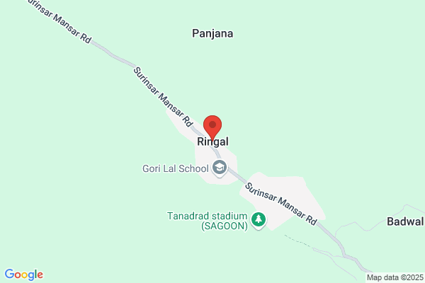Ringal