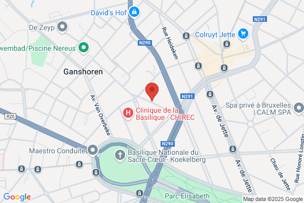 Hendrickx/Michel