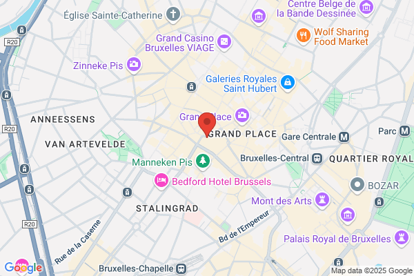 Politie Brussel Raadsplein