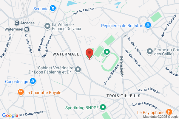 Calypso (Bassin De Natation)