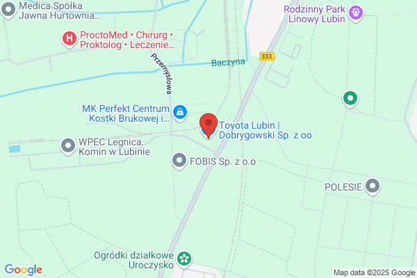 Dobrygowski R
