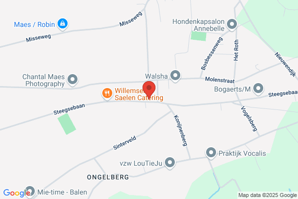 Schildermans Willy Bvba