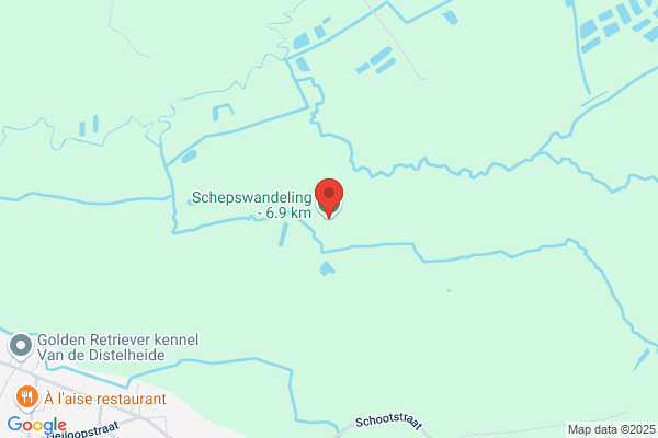 Kempische Orientatielopers & Wandelaars