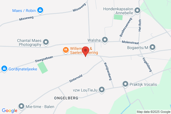 Ten Huize Schildermans