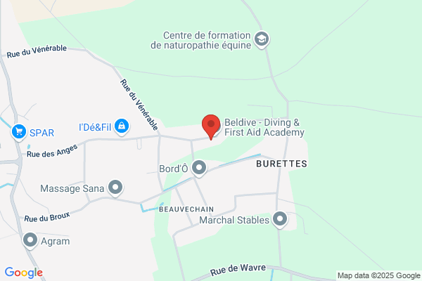 Dieu/Robbrecht