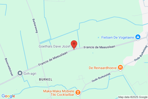 Goethals D