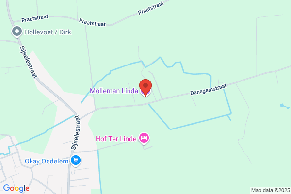 Molleman L