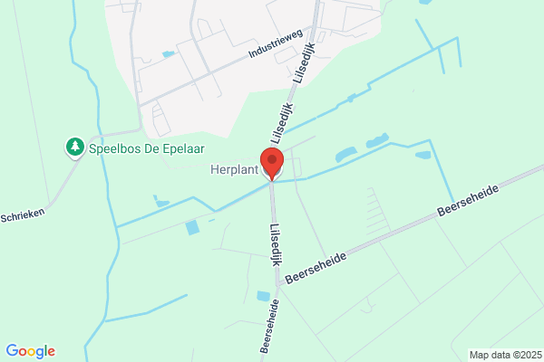 Herplant Nv