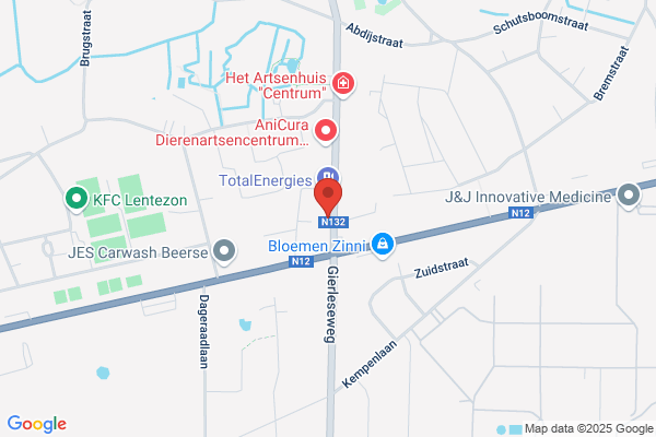 Schilderkunst Ilse