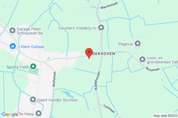 Verschueren J