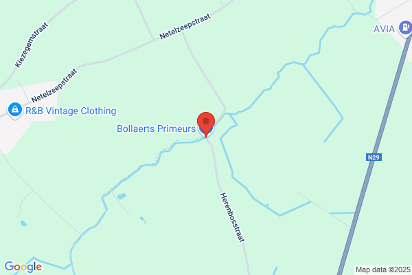 Bollaerts M