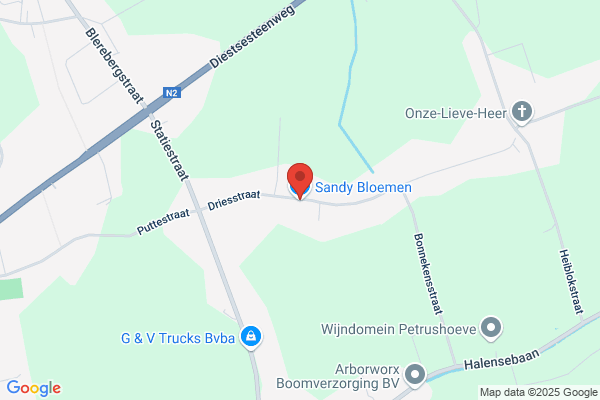 Sandy Bloemen