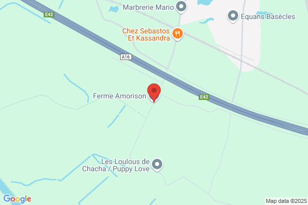Ashman/Véronique
