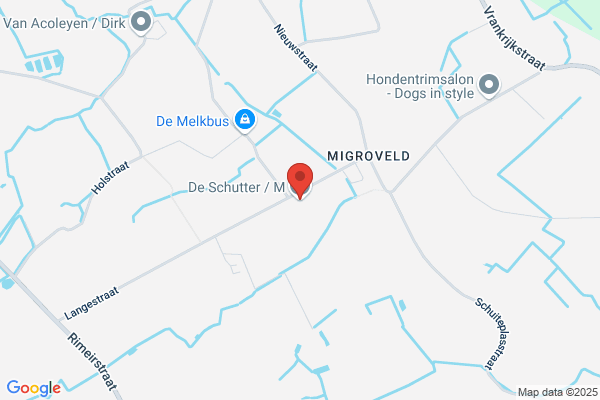 De Schutter P