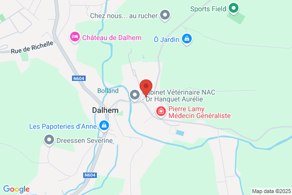 Guillick Michel