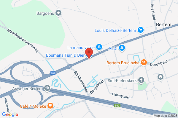 Bruggemans/Flori