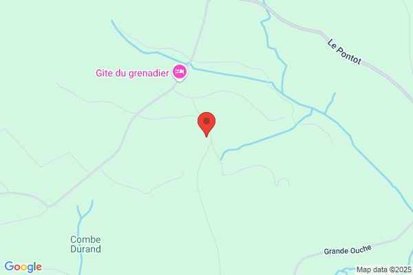Daenen/Guy