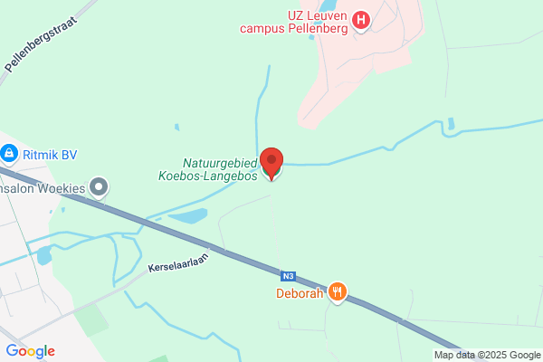 Belderbos L.