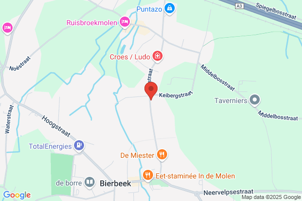 Vrije Gemengde Basis En Kleuterschool