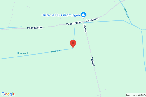 Haesaert/Joel