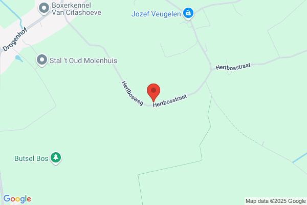 Restaurant Maelendries