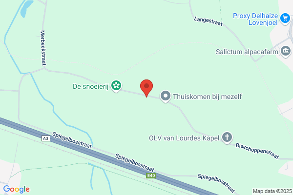 Van Beuren S