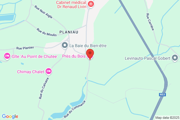 Charme Du Passé (Le)