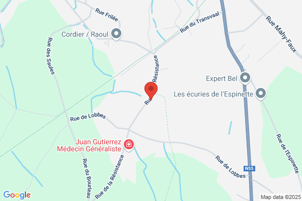 Brulet V