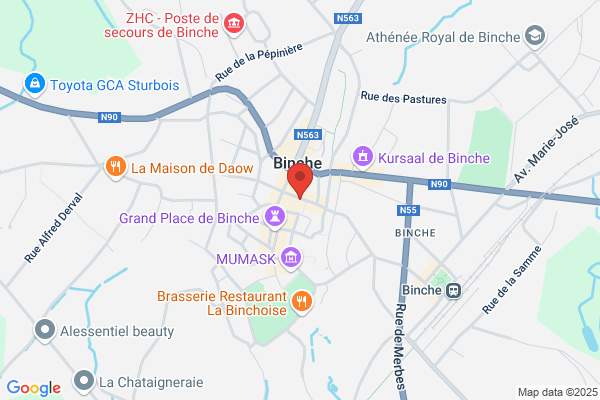 Chaudron Magique (Le)