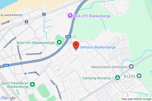 Delhaize Groep Nv