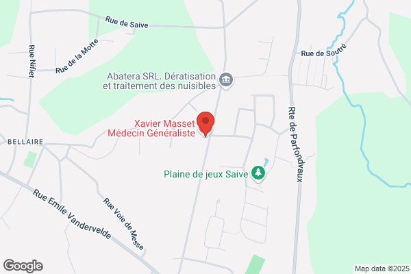 Lhoneux M
