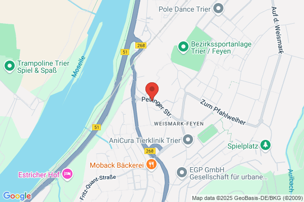 Feyen Piet