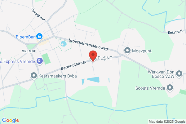 Verelst P
