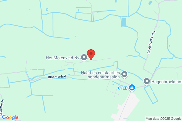 Van Leemputten