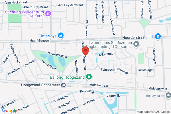 Boerjan Y