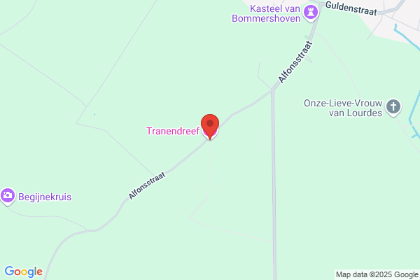 Vanstraelen-Daenen L.