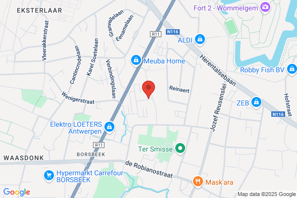 Nevelsteen F